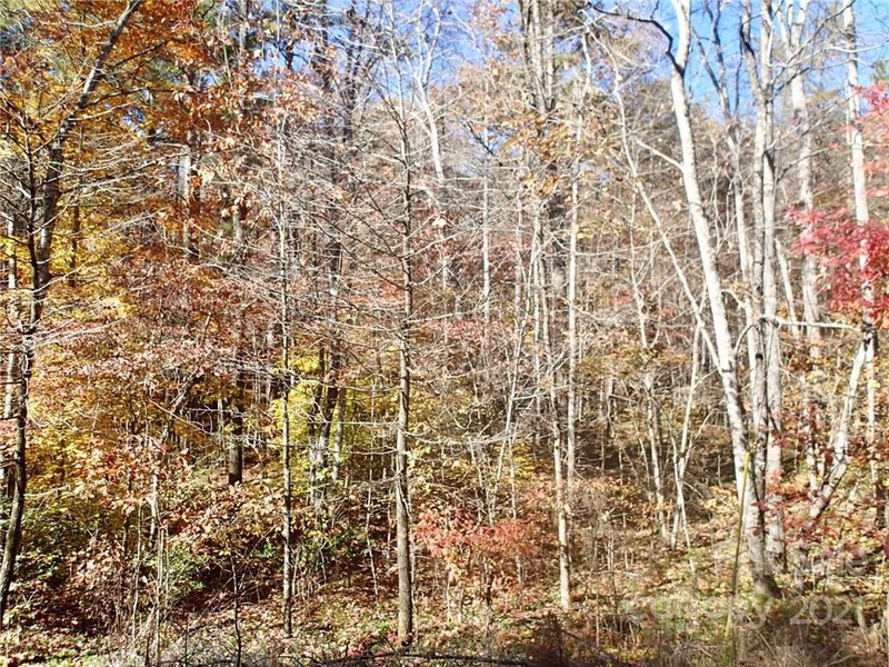 Property image 3 at Lot 46 N Haven Ridge Lane, Marion, NC 28752