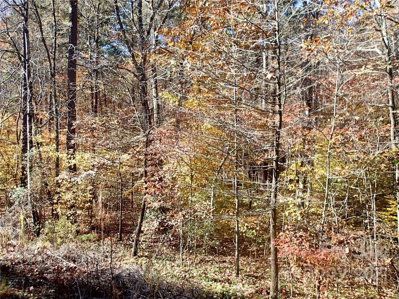 Property image 5 at Lot 46 N Haven Ridge Lane, Marion, NC 28752