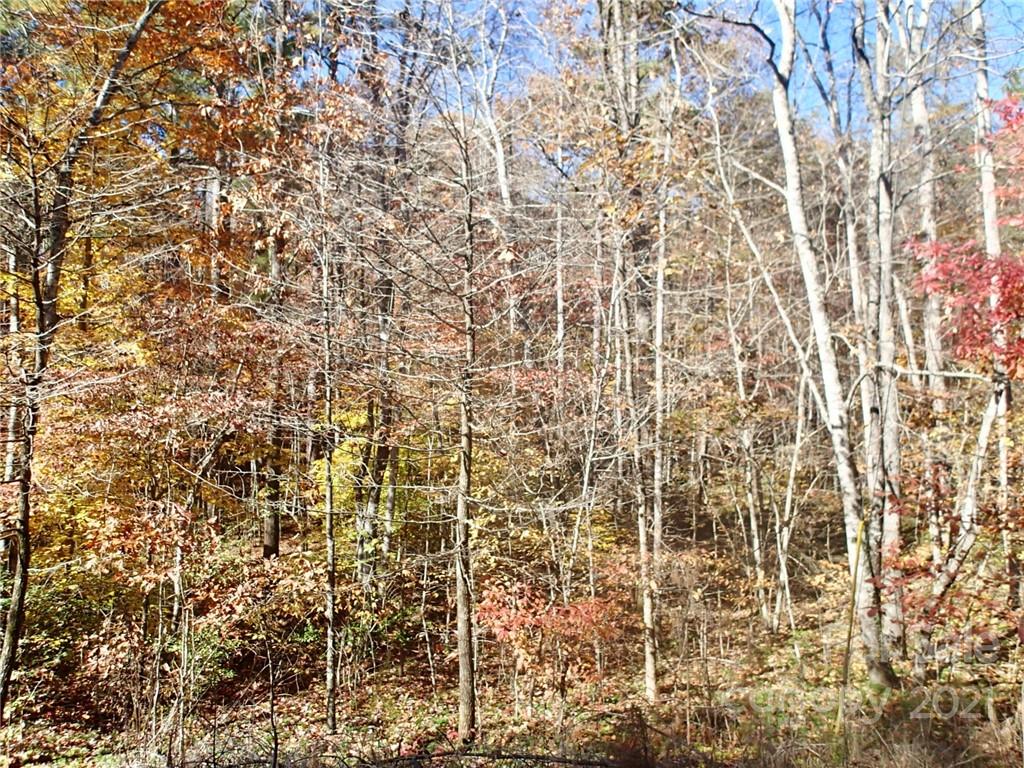 Property image 3 of Lot 46 N Haven Ridge Lane in Haven Heights, Marion, NC 28752