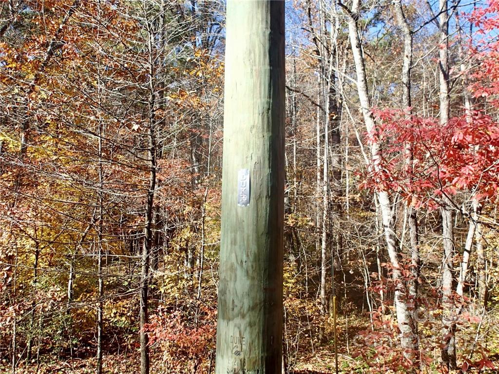 Property image 4 of Lot 46 N Haven Ridge Lane in Haven Heights, Marion, NC 28752