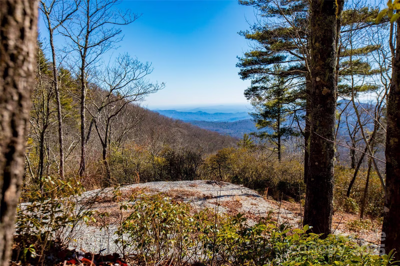 Lot 19 W Whitetail Drive