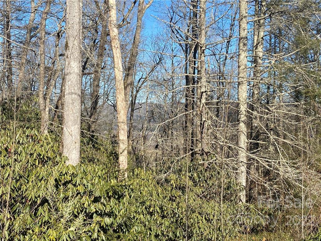 Property image 2 of Tbd Pisgah Forest Drive in Pisgah Forest Farms, Pisgah Forest, NC 28768