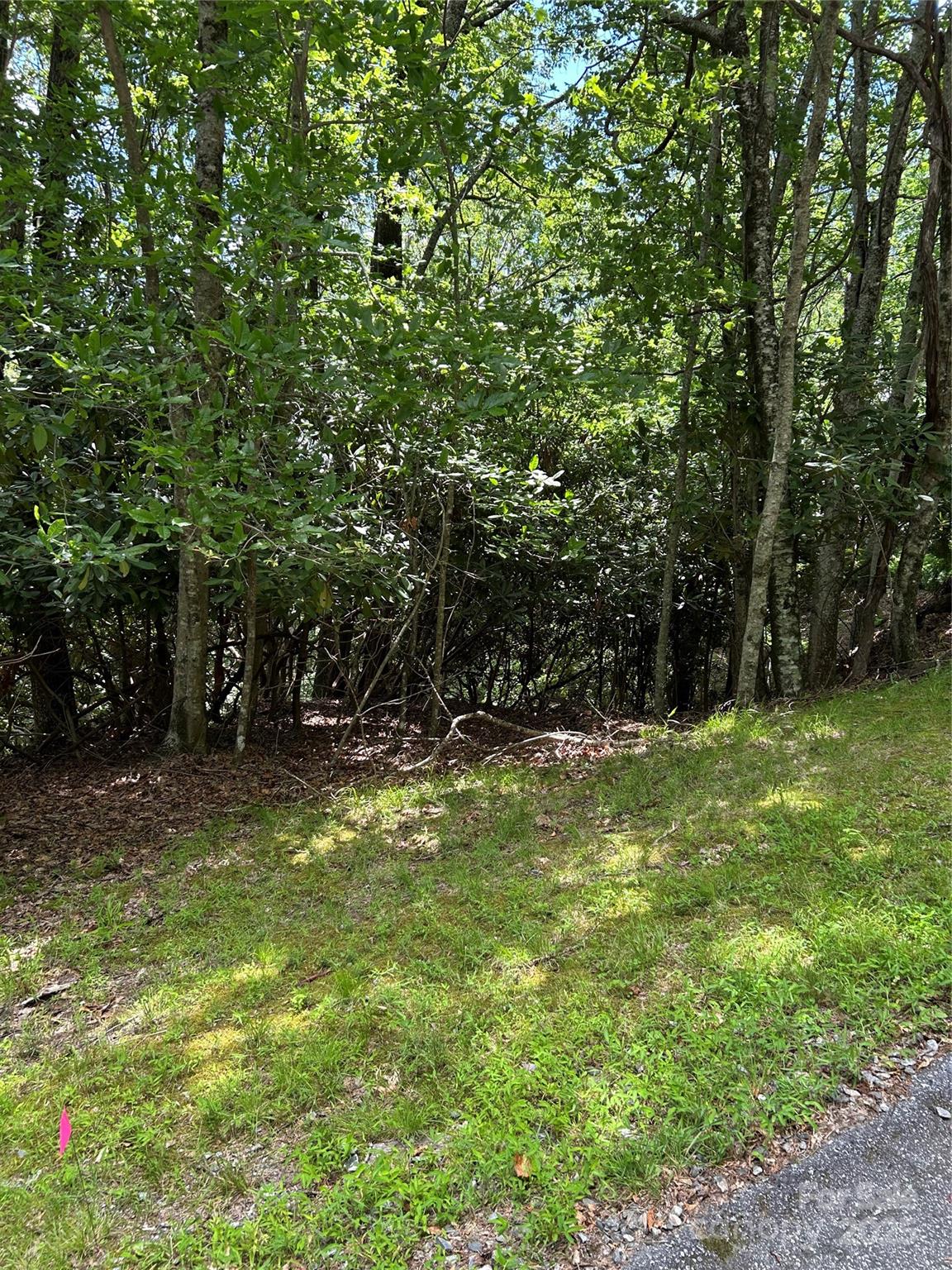 Property image 4 of Tbd Connestee Trail in Connestee Falls, Brevard, NC 28712