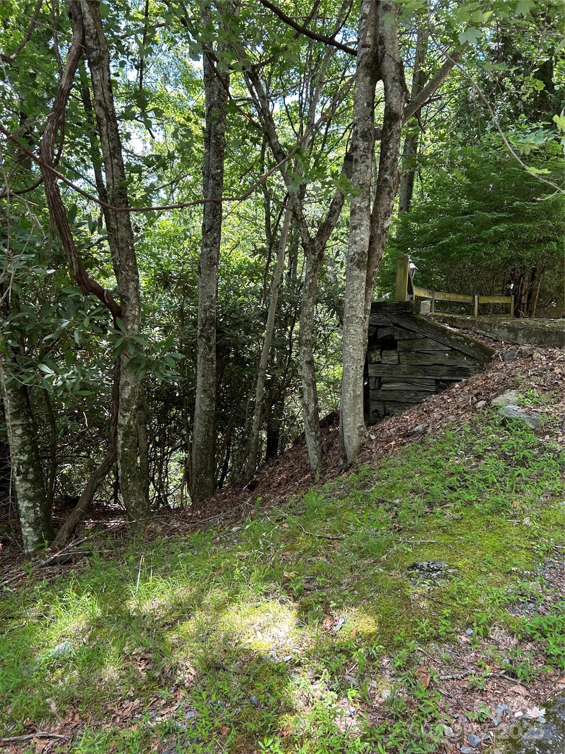 Property image 5 of Tbd Connestee Trail in Connestee Falls, Brevard, NC 28712