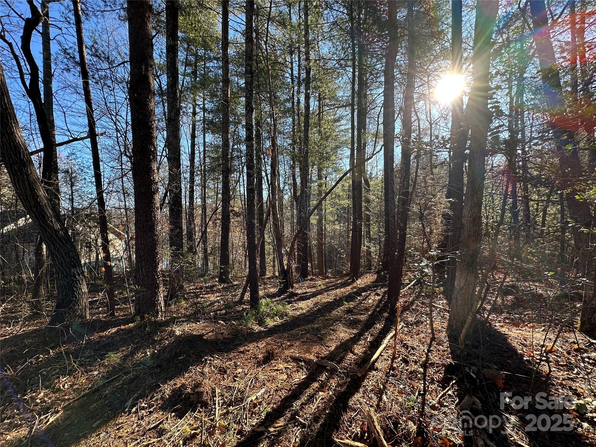 Property image 3 of 178 Lentz Landing Lane in Waterglyn, Nebo, NC 28761