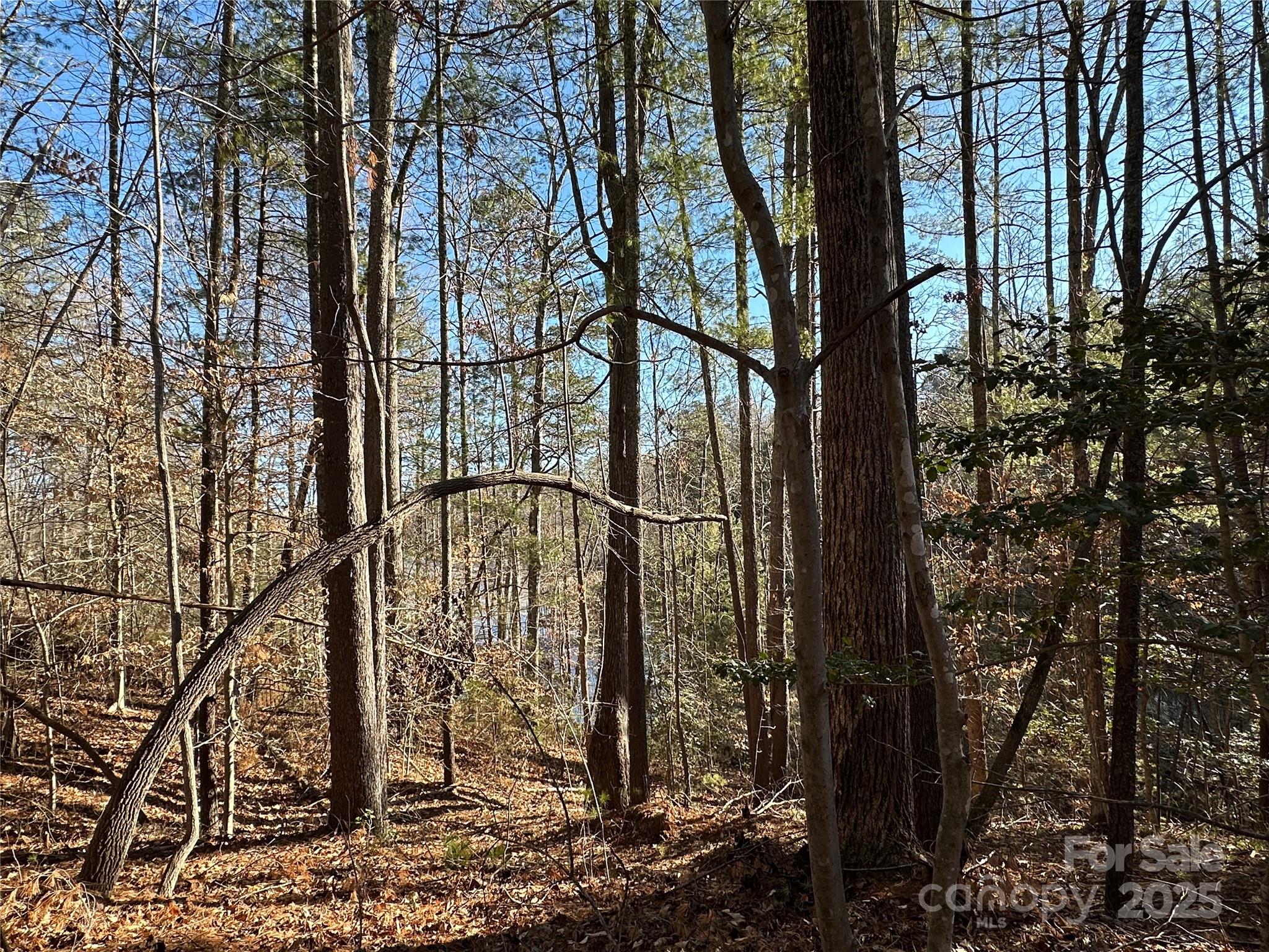 Property image 4 of 178 Lentz Landing Lane in Waterglyn, Nebo, NC 28761