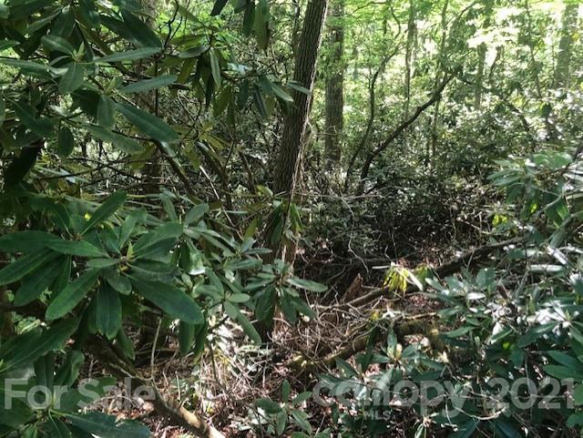 Property image 2 of 0 Wild Flower Road in Swiss Pine Lake, Spruce Pine, NC 28777