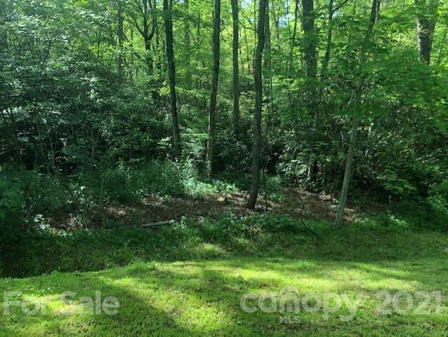 Property image 3 of 0 Wild Flower Road in Swiss Pine Lake, Spruce Pine, NC 28777