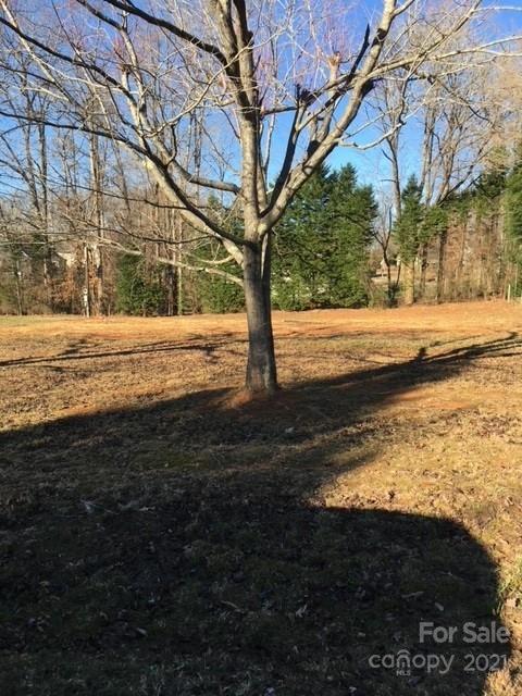 Property image 2 of 138 Cove View Drive in Cove view Park, Mooresville, NC 28117
