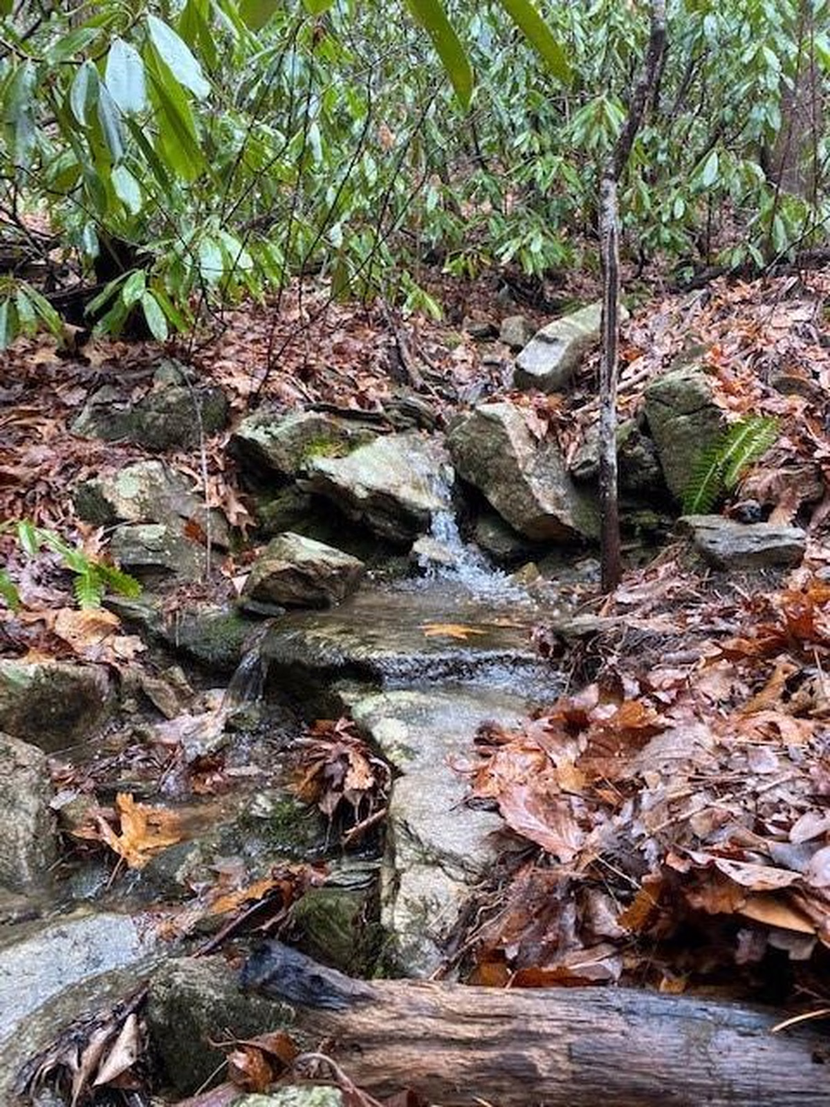Property image 1 at Lot 58 Lost Panther Road, Brevard, NC 28712