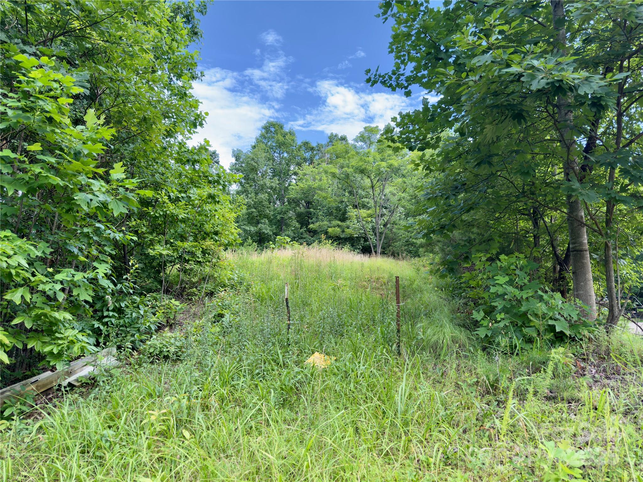 Property image 3 of V L Black Lark Drive in Forest Heights, Marion, NC 28752