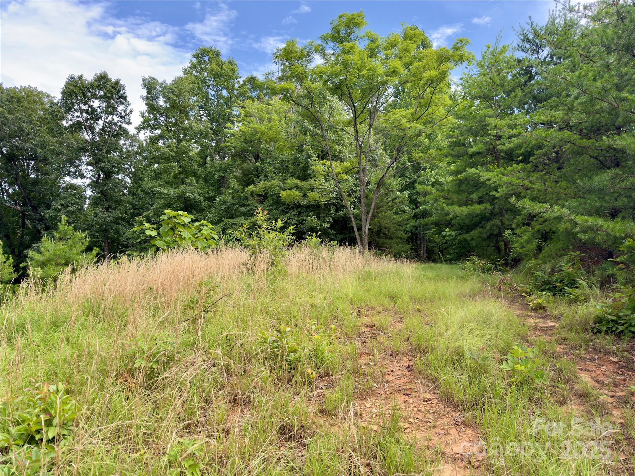 Property image 4 of V L Black Lark Drive in Forest Heights, Marion, NC 28752