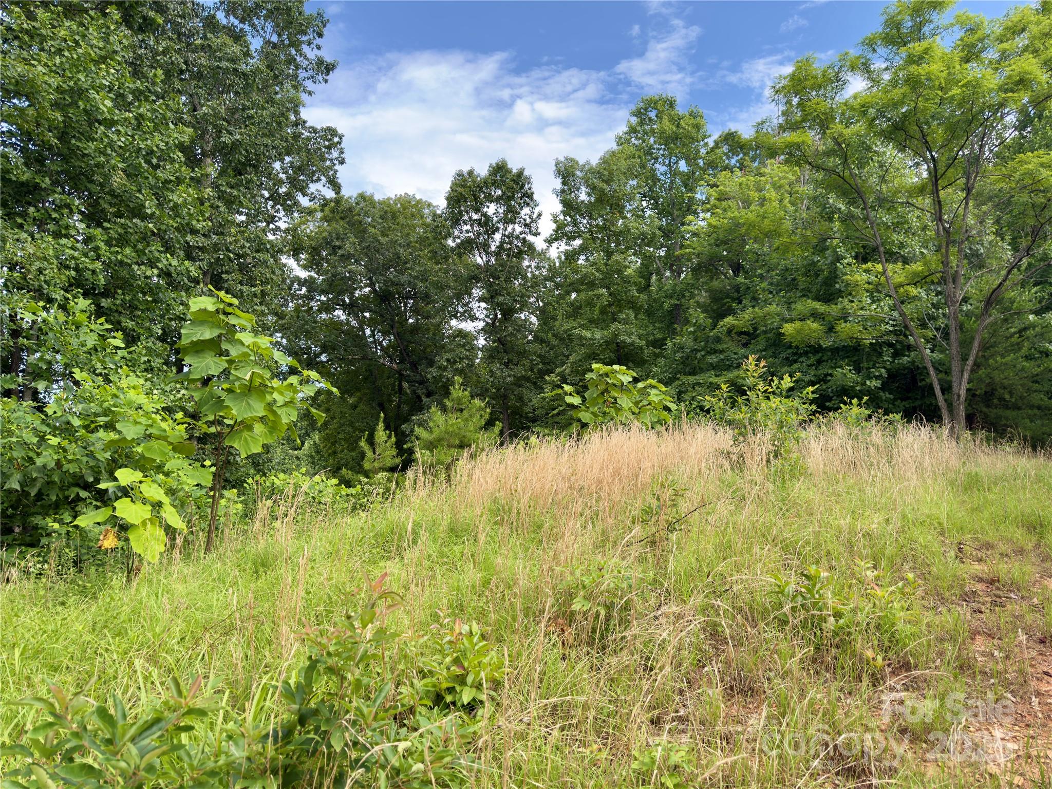 Property image 5 of V L Black Lark Drive in Forest Heights, Marion, NC 28752