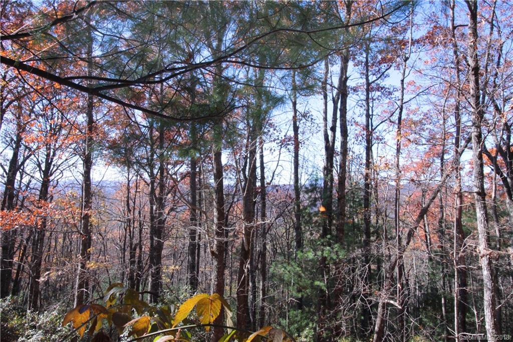Property image 2 of Lot 37 West View Road in Ridge Haven, Brevard, NC 28712