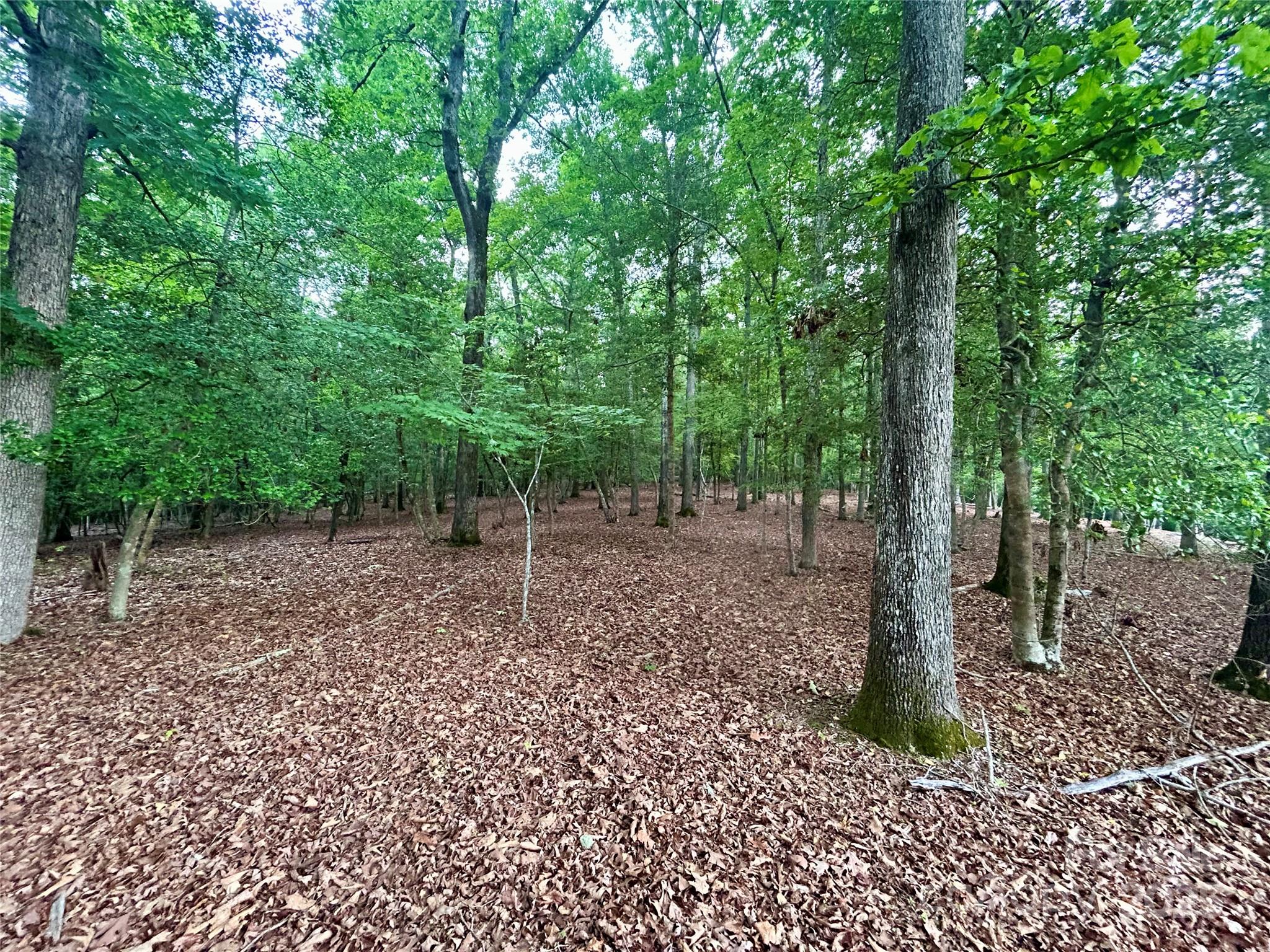 Property image 2 of 170 Water Oak Way in Swift Island Plantation, Mount Gilead, NC 27306