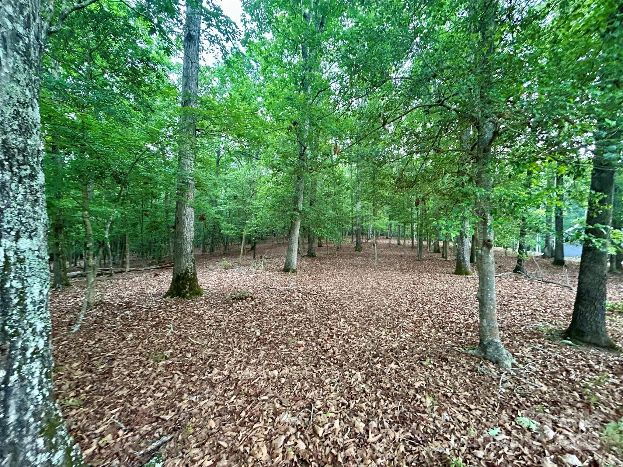 Property image 3 of 170 Water Oak Way in Swift Island Plantation, Mount Gilead, NC 27306