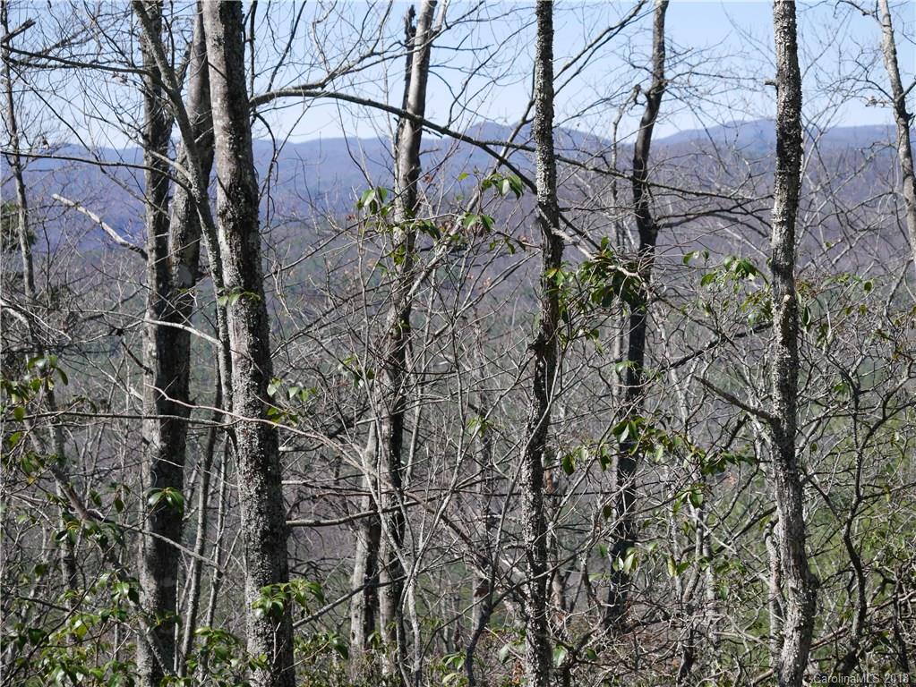 Property image 4 of Lot 44 Ruffed Grouse Road in Ridge Haven, Brevard, NC 28712