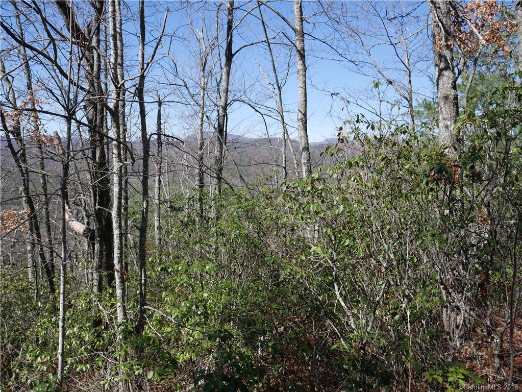 Property image 5 of Lot 44 Ruffed Grouse Road in Ridge Haven, Brevard, NC 28712