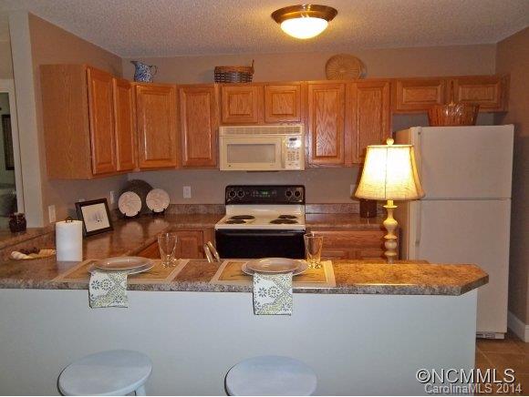 Property image 3 of 234 E Wash Creek Drive in The Cloisters, Hendersonville, NC 28739