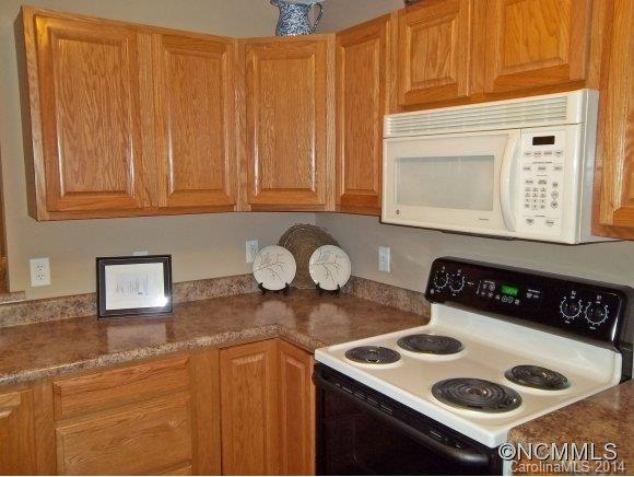 Property image 5 of 234 E Wash Creek Drive in The Cloisters, Hendersonville, NC 28739