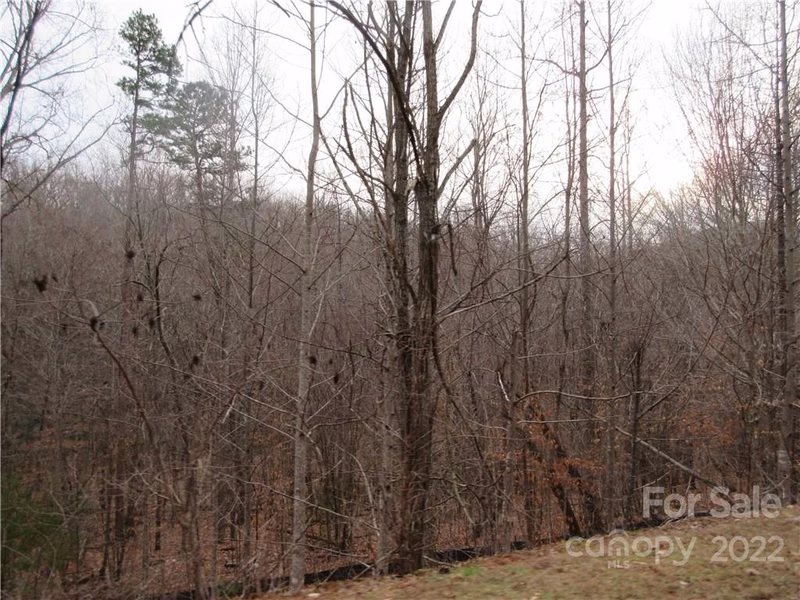 Property image 4 at Lot 67 Big Branch Drive, Marion, NC 28752