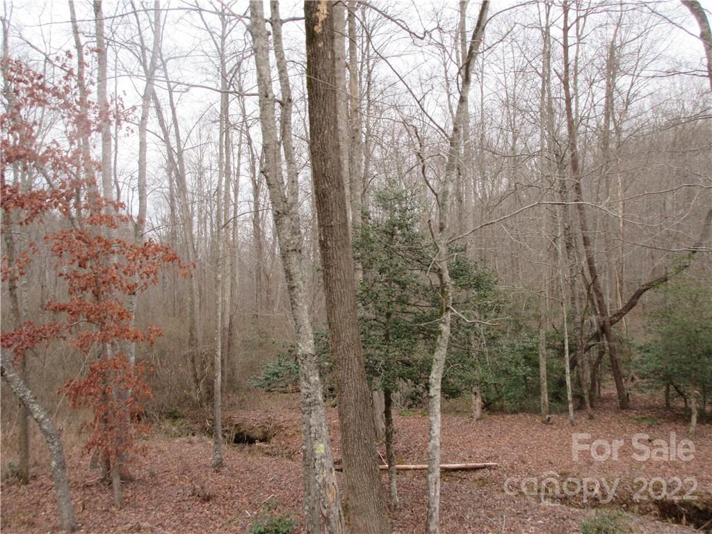 Property image 2 of Lot 67 Big Branch Drive in Forest Heights, Marion, NC 28752