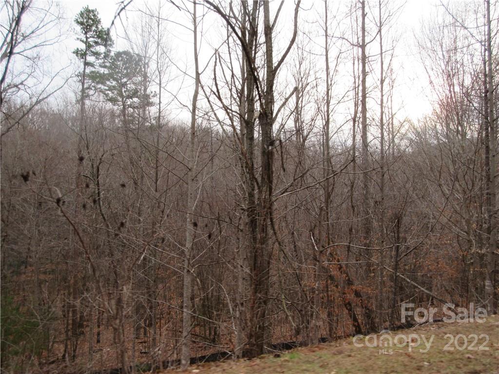Property image 4 of Lot 67 Big Branch Drive in Forest Heights, Marion, NC 28752