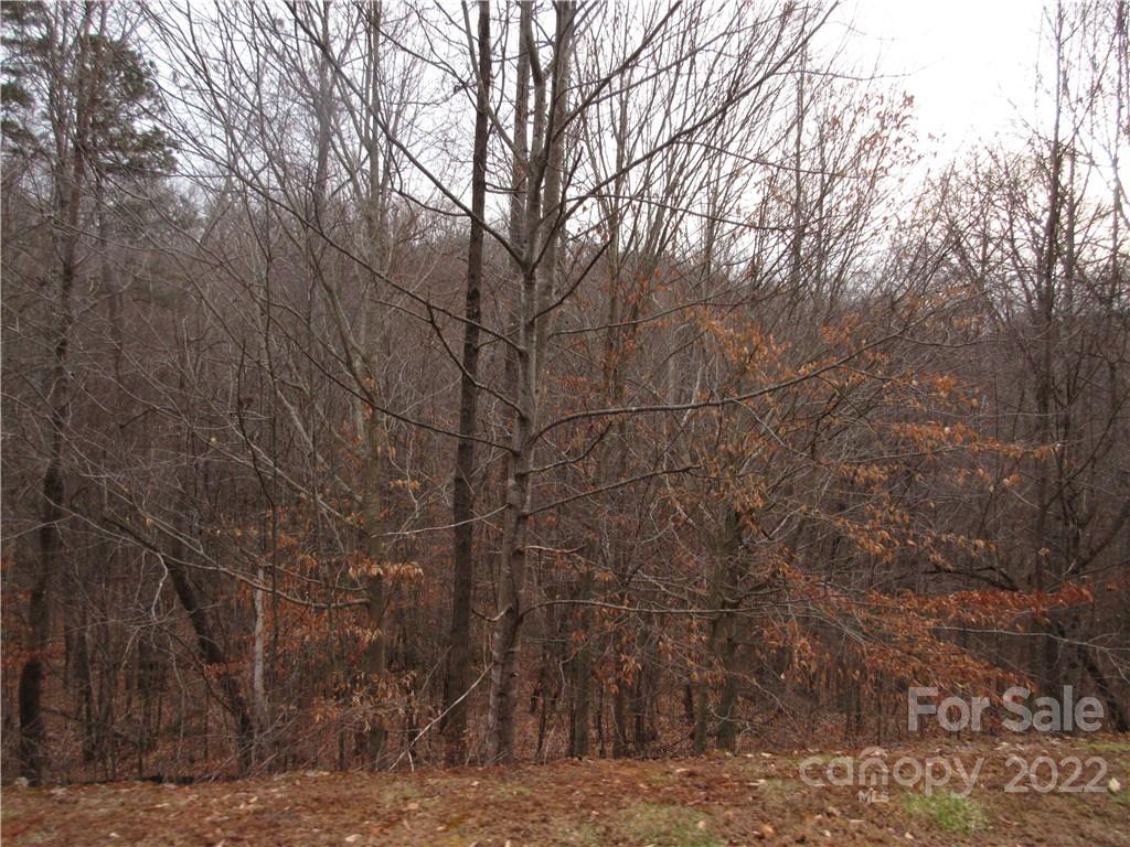 Property image 5 of Lot 67 Big Branch Drive in Forest Heights, Marion, NC 28752