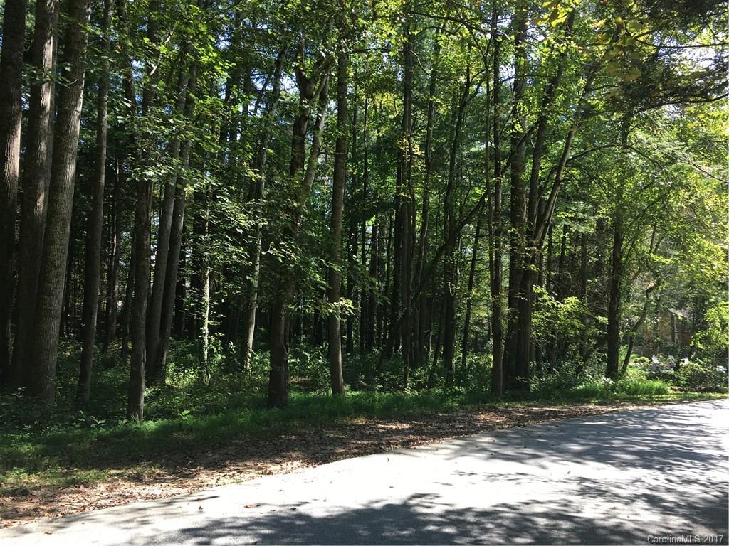 Property image 2 of Camilla Way Camellia Way in Timber Creek, Hendersonville, NC 28739