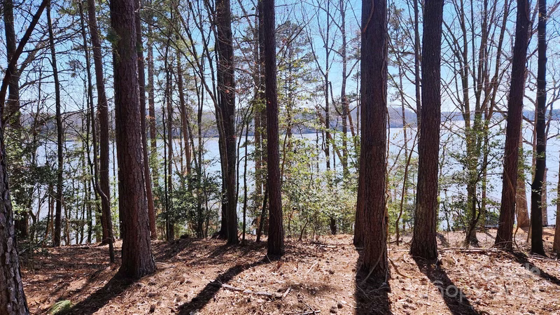 Property image 2 at 6137 Plantation Pointe Drive, Granite Falls, NC 28630