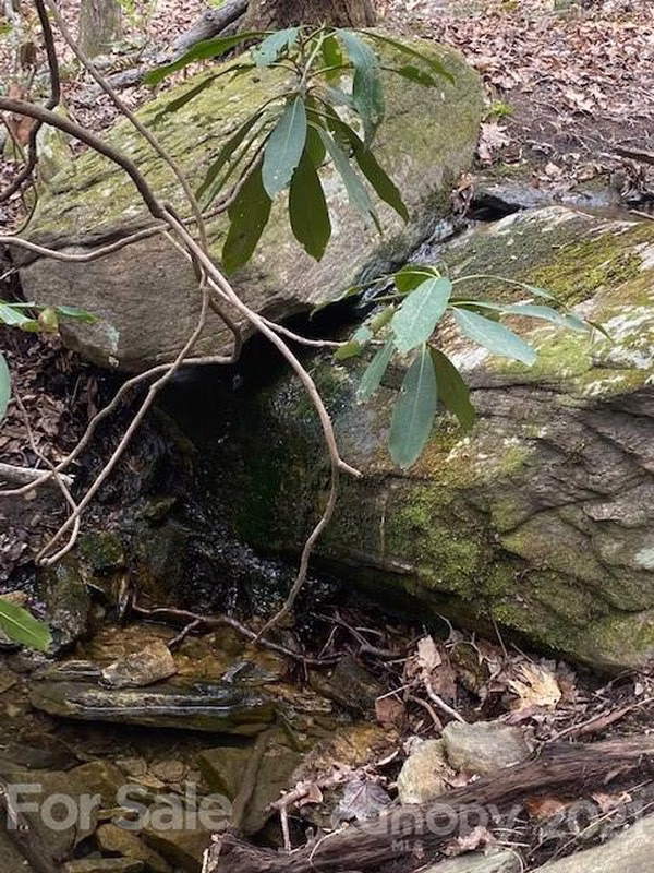 Lot 58 Lost Panther Road