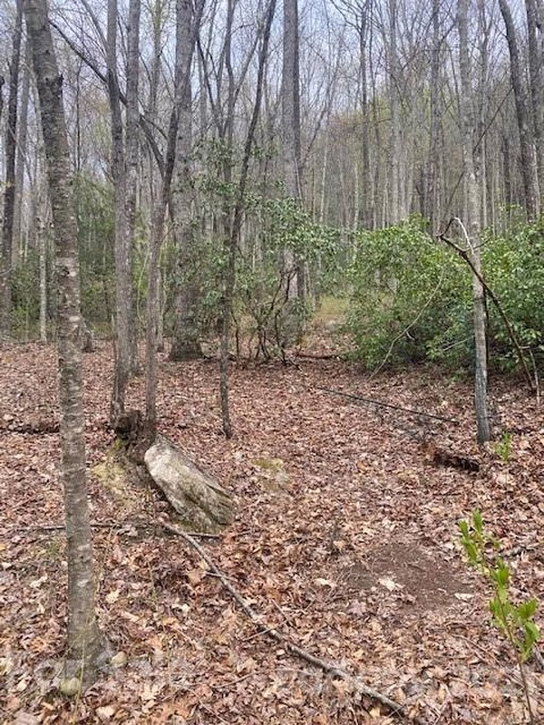 Property image 3 at Lot 58 Lost Panther Road, Brevard, NC 28712