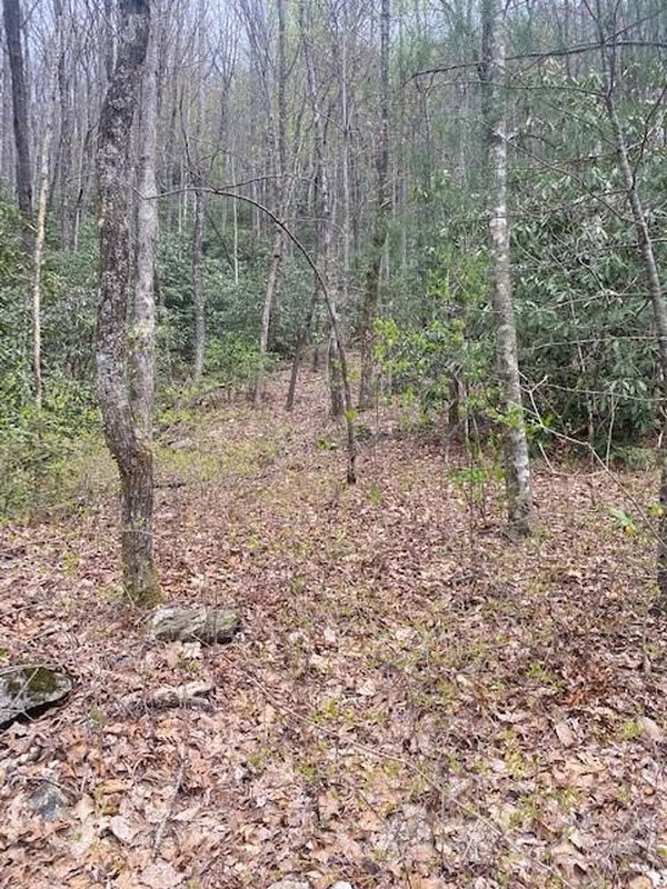Property image 4 at Lot 58 Lost Panther Road, Brevard, NC 28712