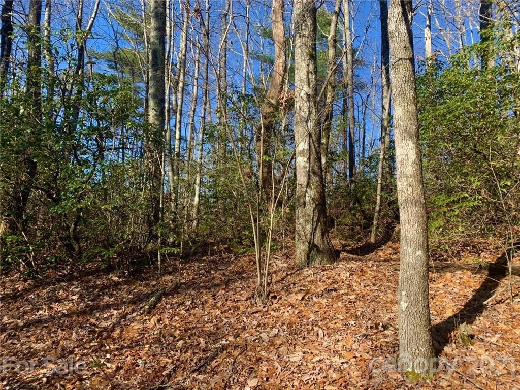 Property image 3 of Tbd Fox Lane in Ridge Haven, Brevard, NC 28712