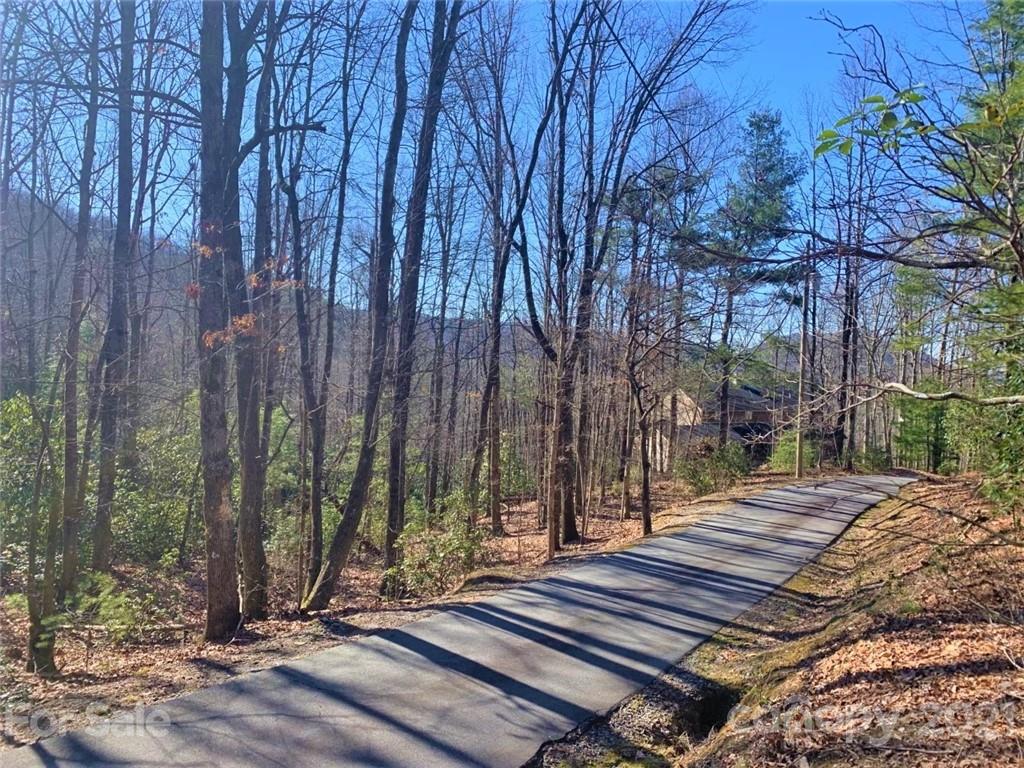 Property image 4 of Tbd Fox Lane in Ridge Haven, Brevard, NC 28712