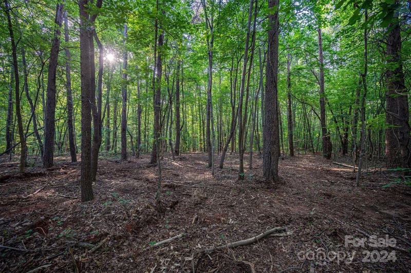 Property image 2 at 5117 Grassy Creek Road, Denver, NC 28037