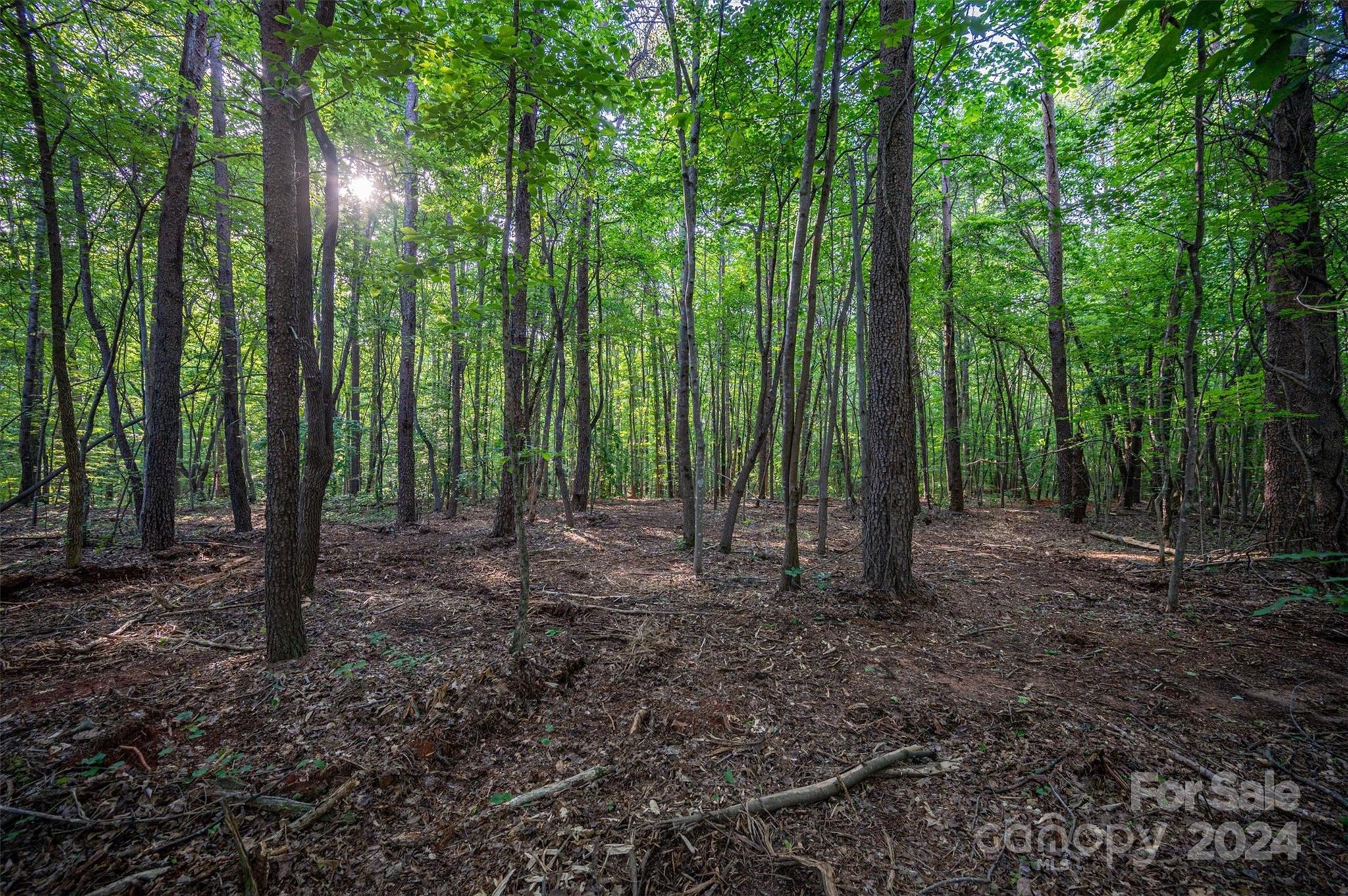 Property image 2 of 5117 Grassy Creek Road in The Preserve at Grassy Creek, Denver, NC 28037