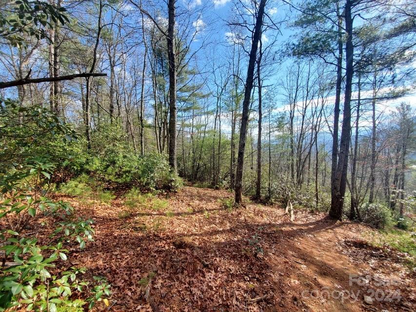 Property image 2 of Tbd Elkins Road in Lewis Jarrett, Bakersville, NC 28705