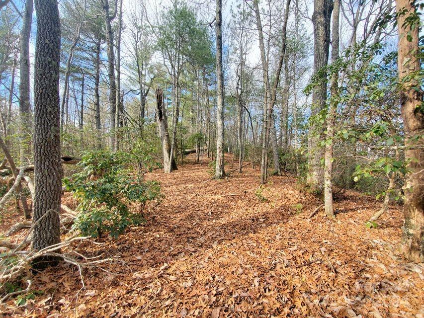 Property image 4 of Tbd Elkins Road in Lewis Jarrett, Bakersville, NC 28705