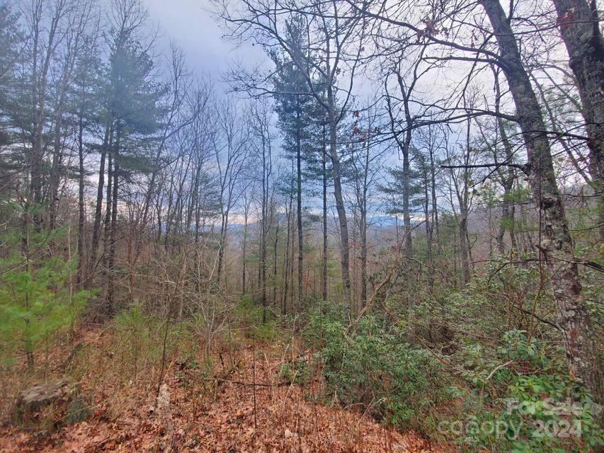 Property image 5 of Tbd Elkins Road in Lewis Jarrett, Bakersville, NC 28705