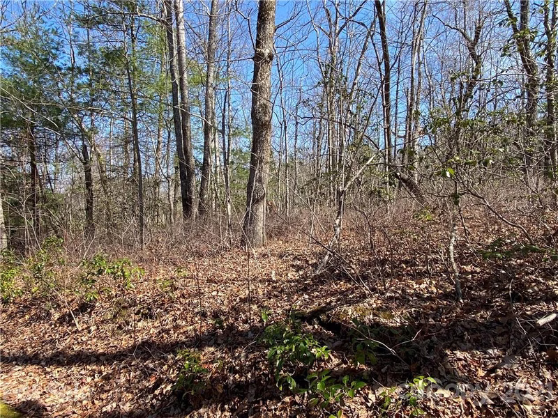Property image 5 at Lo 38 Panther Run, Brevard, NC 28712