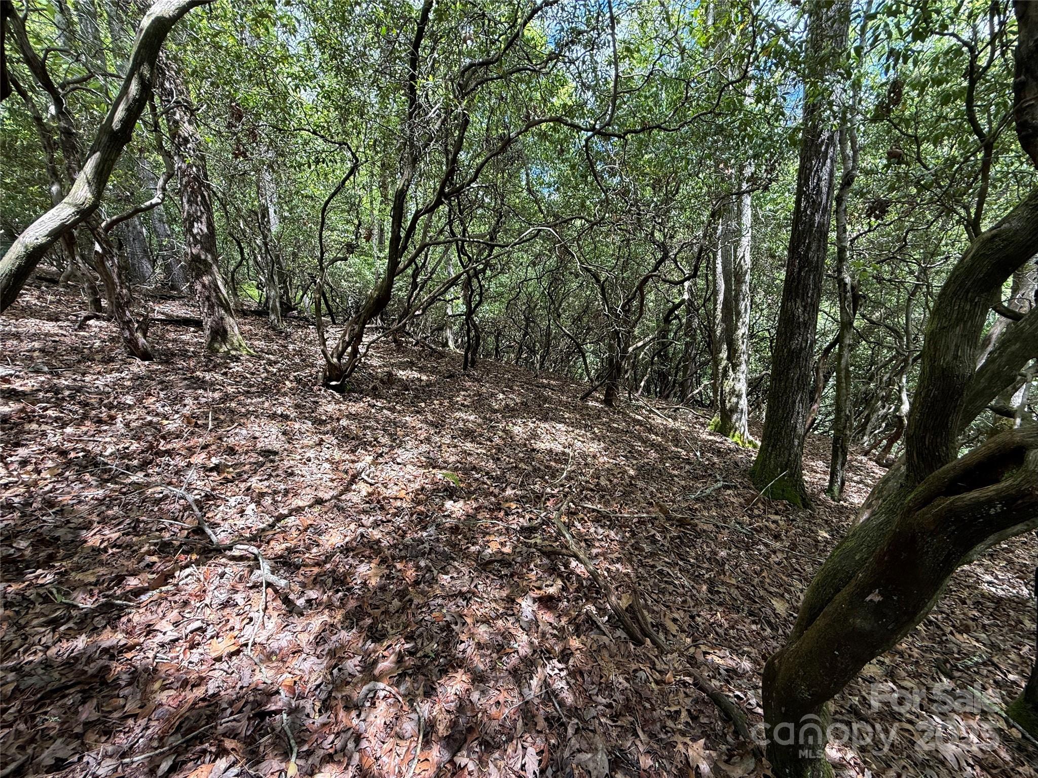 Property image 3 of Tbd Tellico Trail in Connestee Falls, Brevard, NC 28712