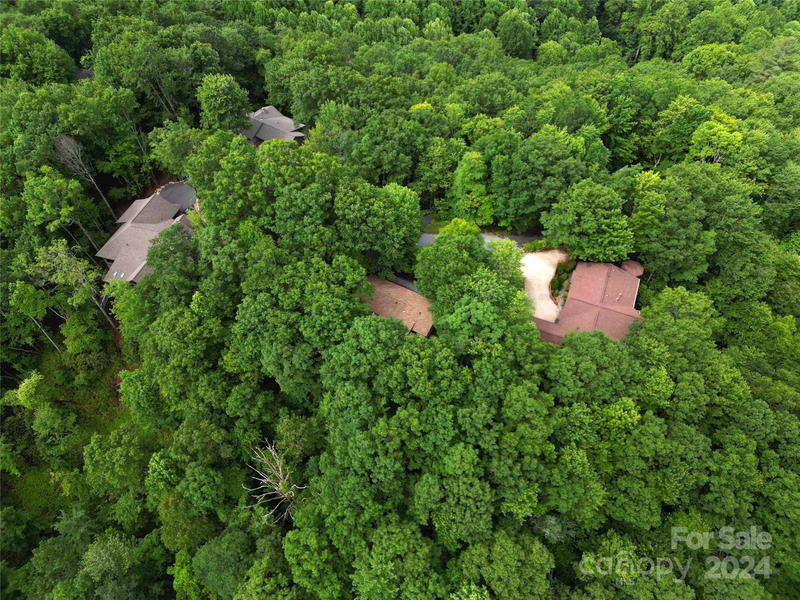 Property image 5 at 130 Wanei Court, Brevard, NC 28712