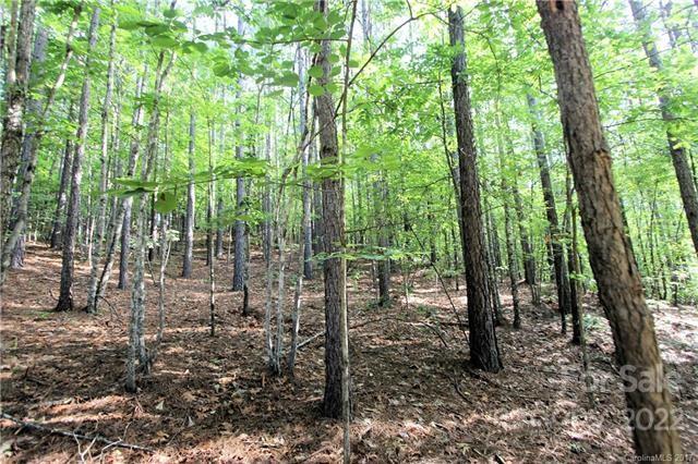 Property image 4 of 8 Chasewood Drive in Deer Run at Lake Lure, Rutherfordton, NC 28139