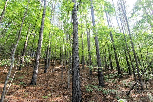 Property image 5 of 8 Chasewood Drive in Deer Run at Lake Lure, Rutherfordton, NC 28139