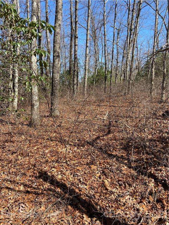 Property image 5 of Lo 39 Panther Run in Ridge Haven, Brevard, NC 28712