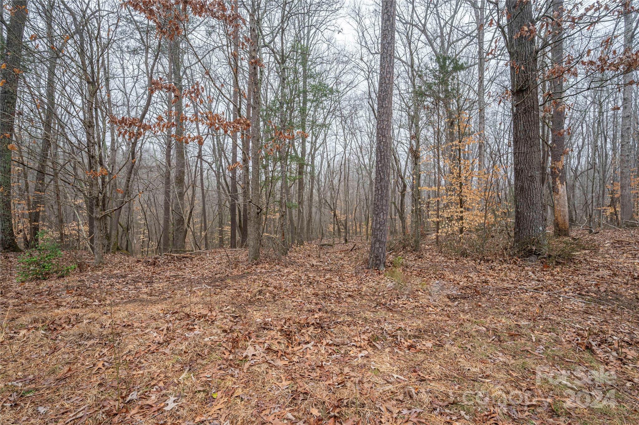 Property image 4 of 5045 Grassy Creek Road in The Preserve at Grassy Creek, Denver, NC 28037