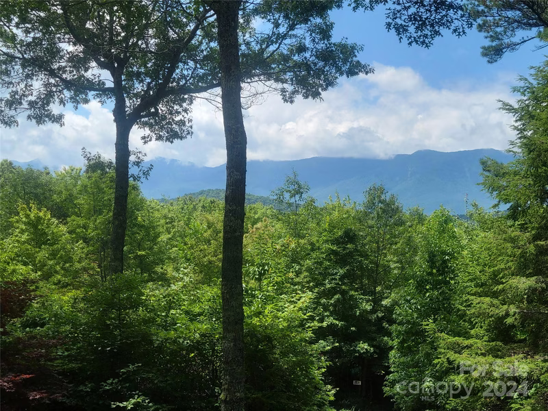 Property image 2 at 1005 Pine Tree Road, Spruce Pine, NC 28777