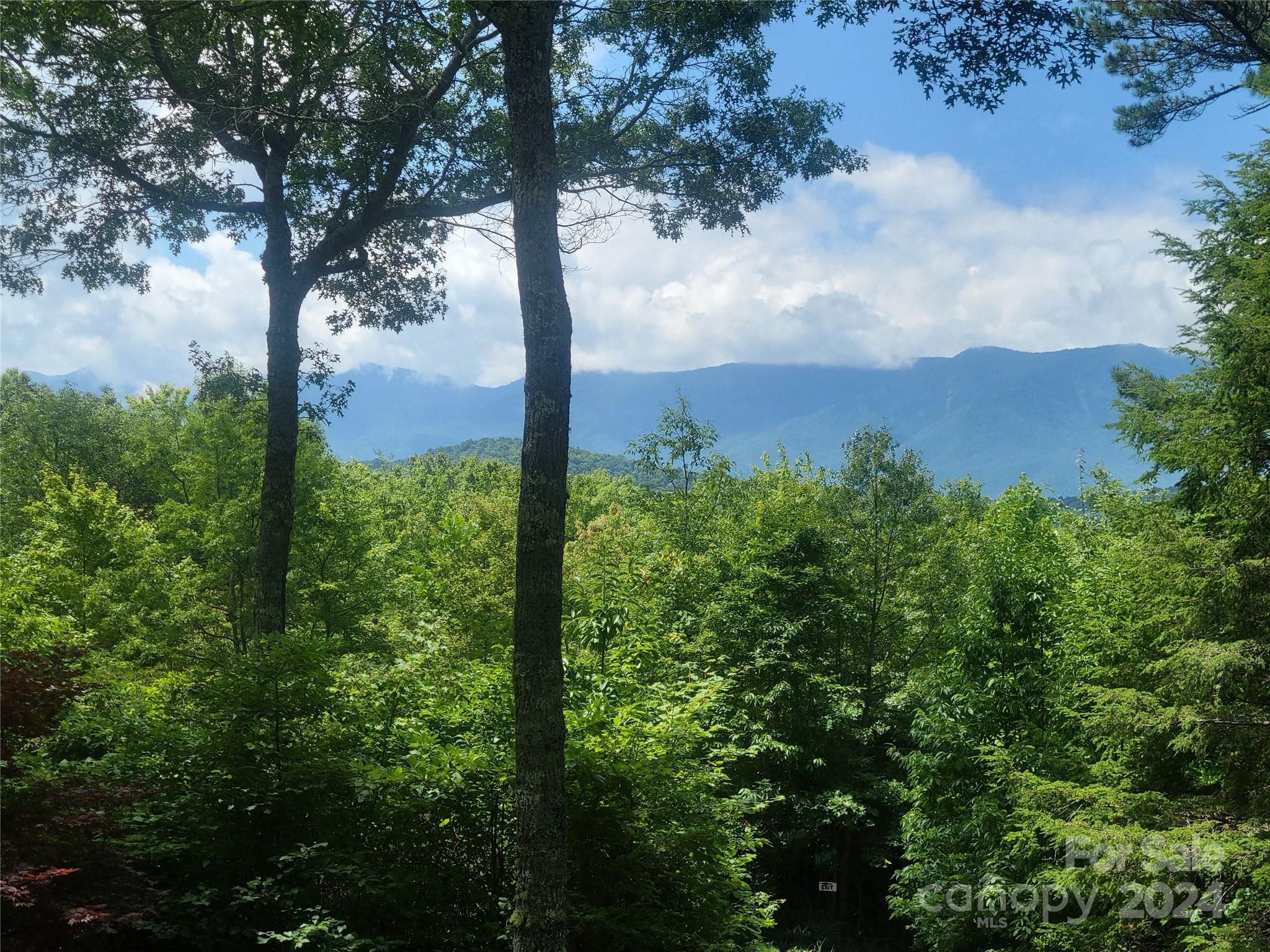 Property image 2 of 1005 Pine Tree Road in Alpine Mountain, Spruce Pine, NC 28777
