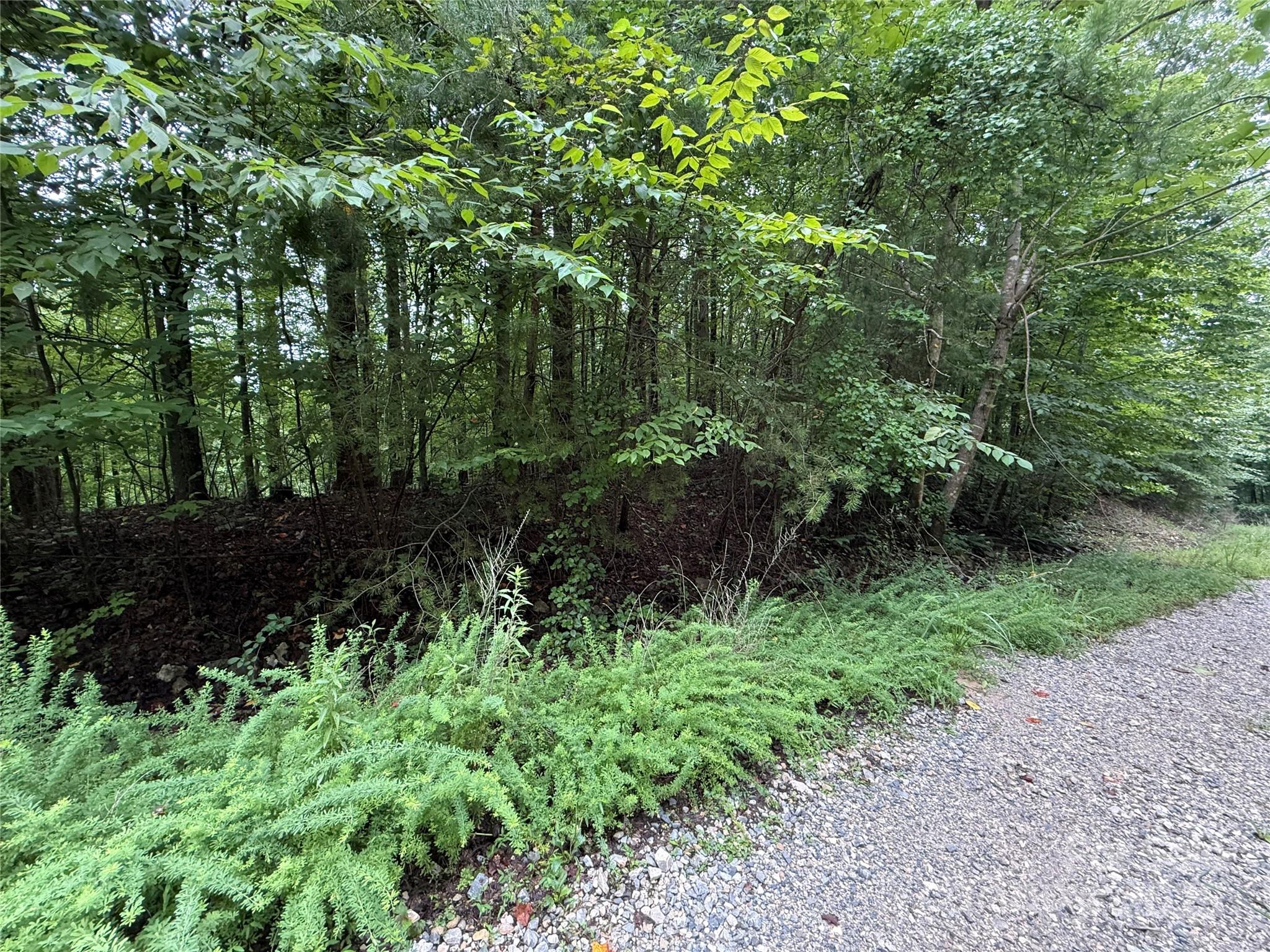 Property image 2 of 0 Woodchuck Lane in Haven Heights, Marion, NC 28752